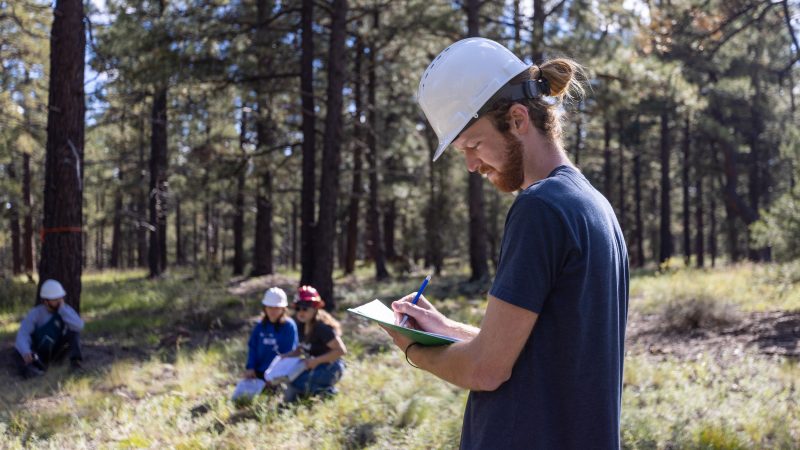 A photo of a forestry student taking notes in the field.