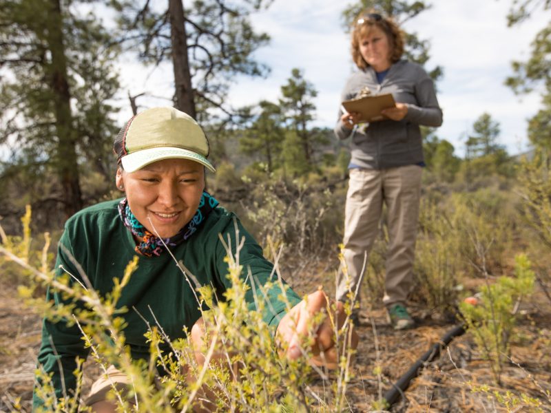 Student observing wild plants.