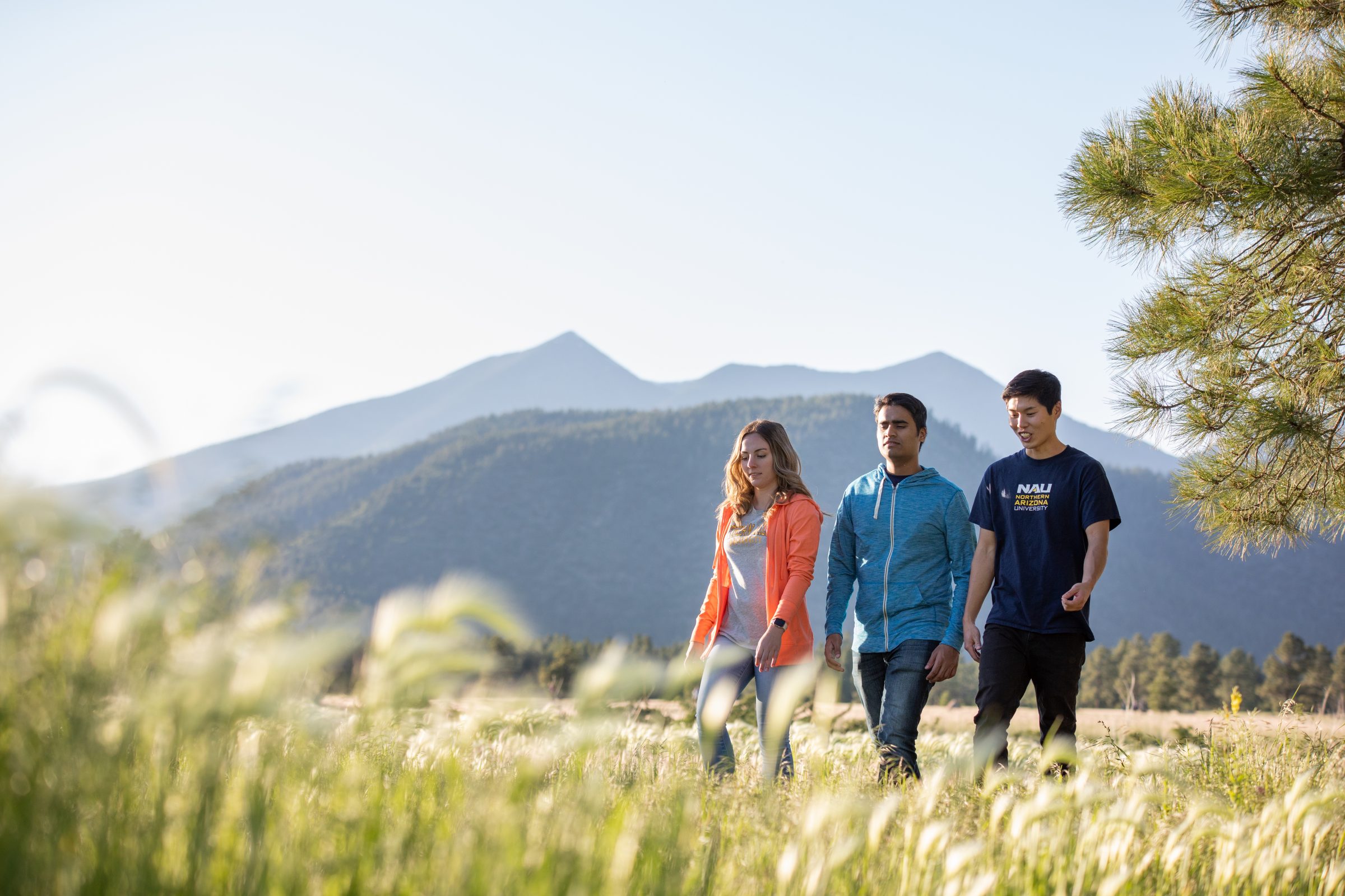 N A U students walking in Buffalo Park, Flagstaff, AZ.