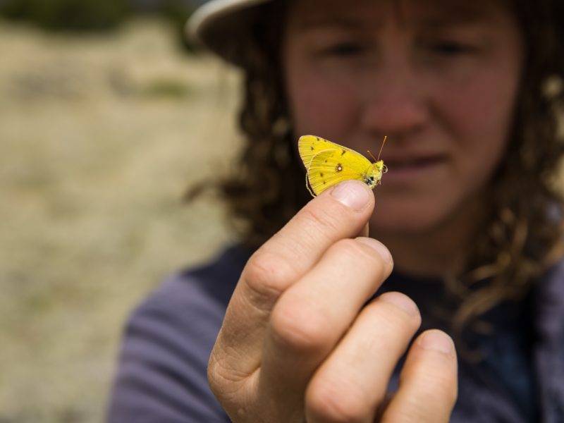 Clare Aslan holding a butterfly in fingertips.