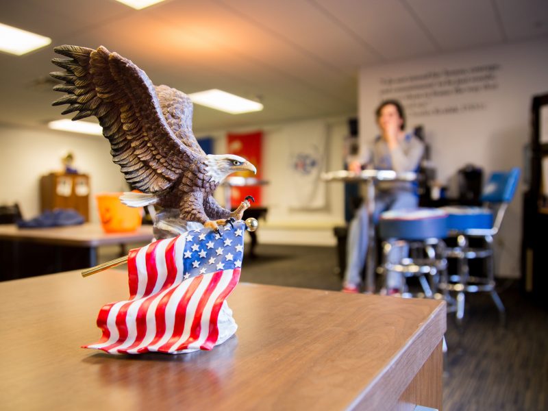 A photo of a bald eagle sitting on the U S A flag.
