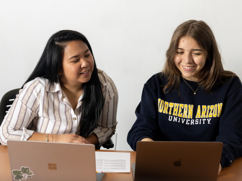 A photo of an advisor and a student on their computers.