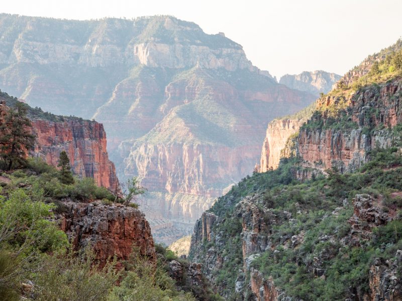 A panoramic photo of the Grand Canyon from a hiking trail.