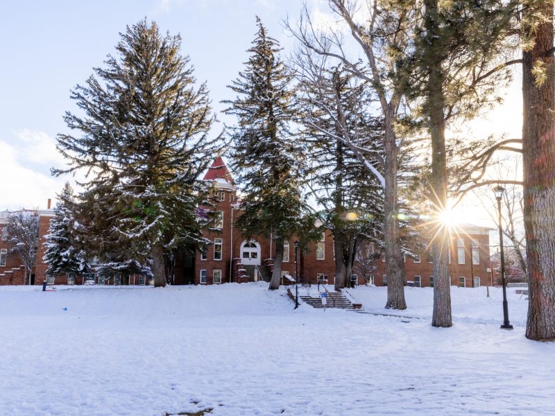 Snowy campus grounds with sun streaming through pine trees just behind Old Main.