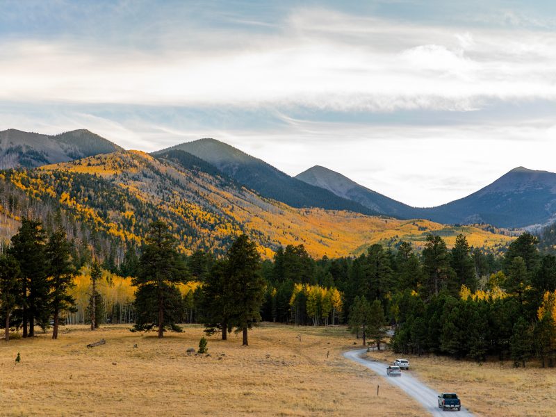 Cars traveling on road near a vibrant yellow Lockett Meadow, with mountains shown in the background..