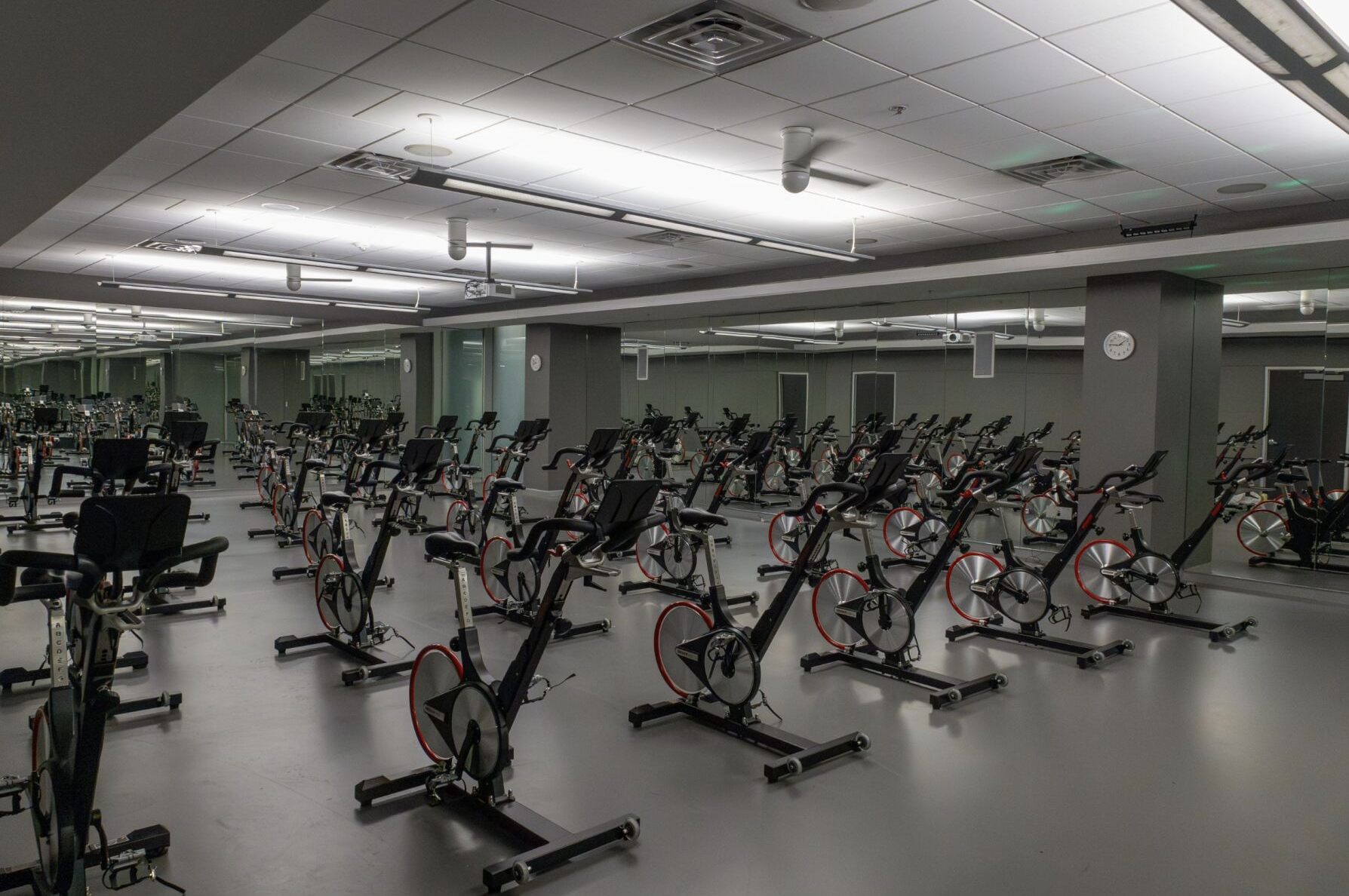 Cycle bikes in the gym.