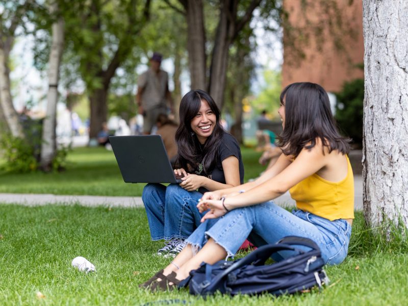 Two students collaborating on the grass.