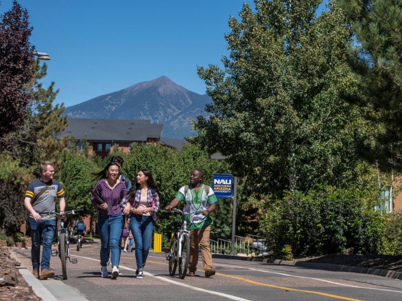 Students walking on the pedestrian pathway.