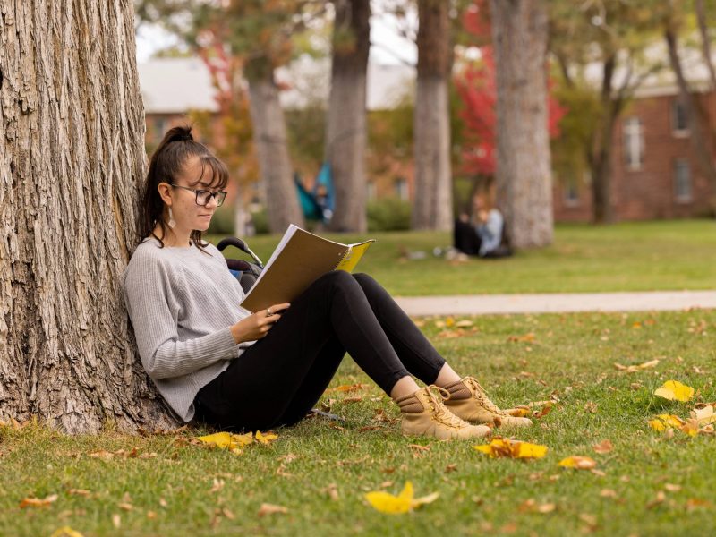 A Northern Arizona University student studies on campus.