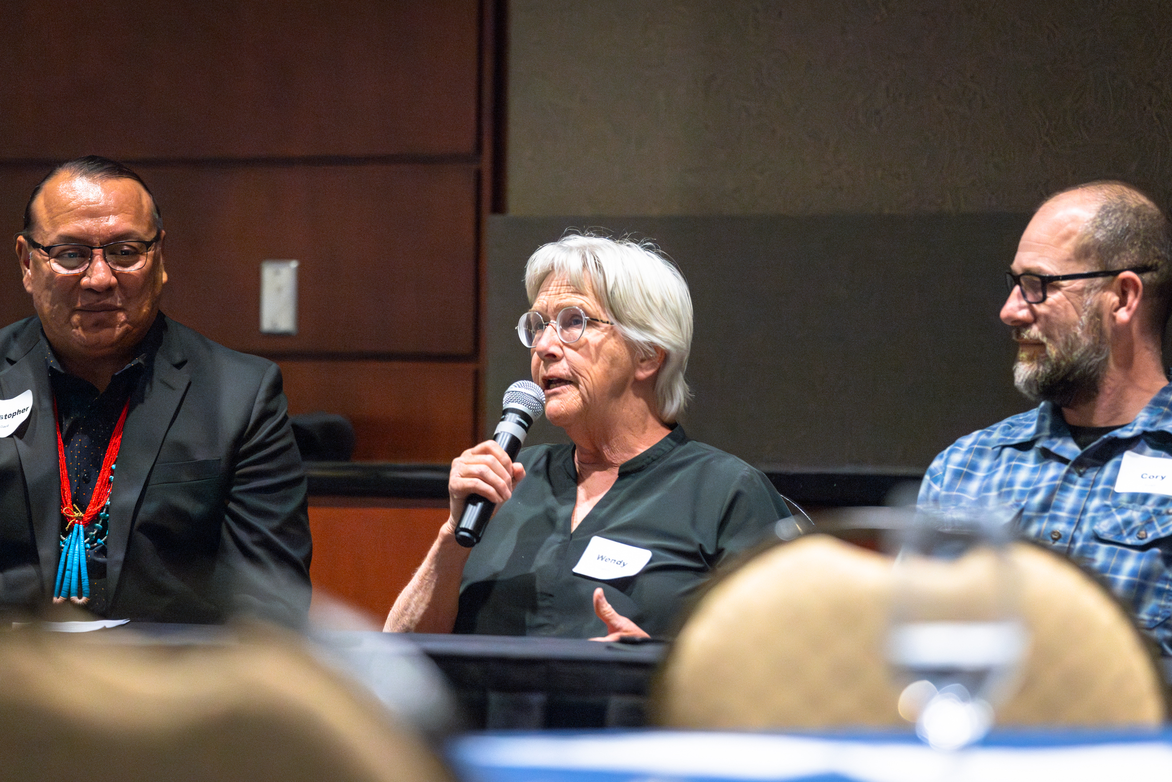 Panel discussion at ABRC event.