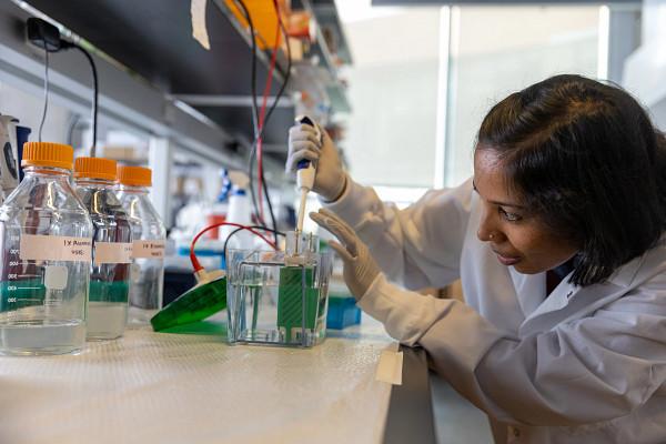 Archana Varadaraj is wearing a lab coat and gloves and adding solution to a test tube.