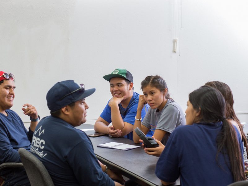 A group of people sit around a table discussing health promotion.