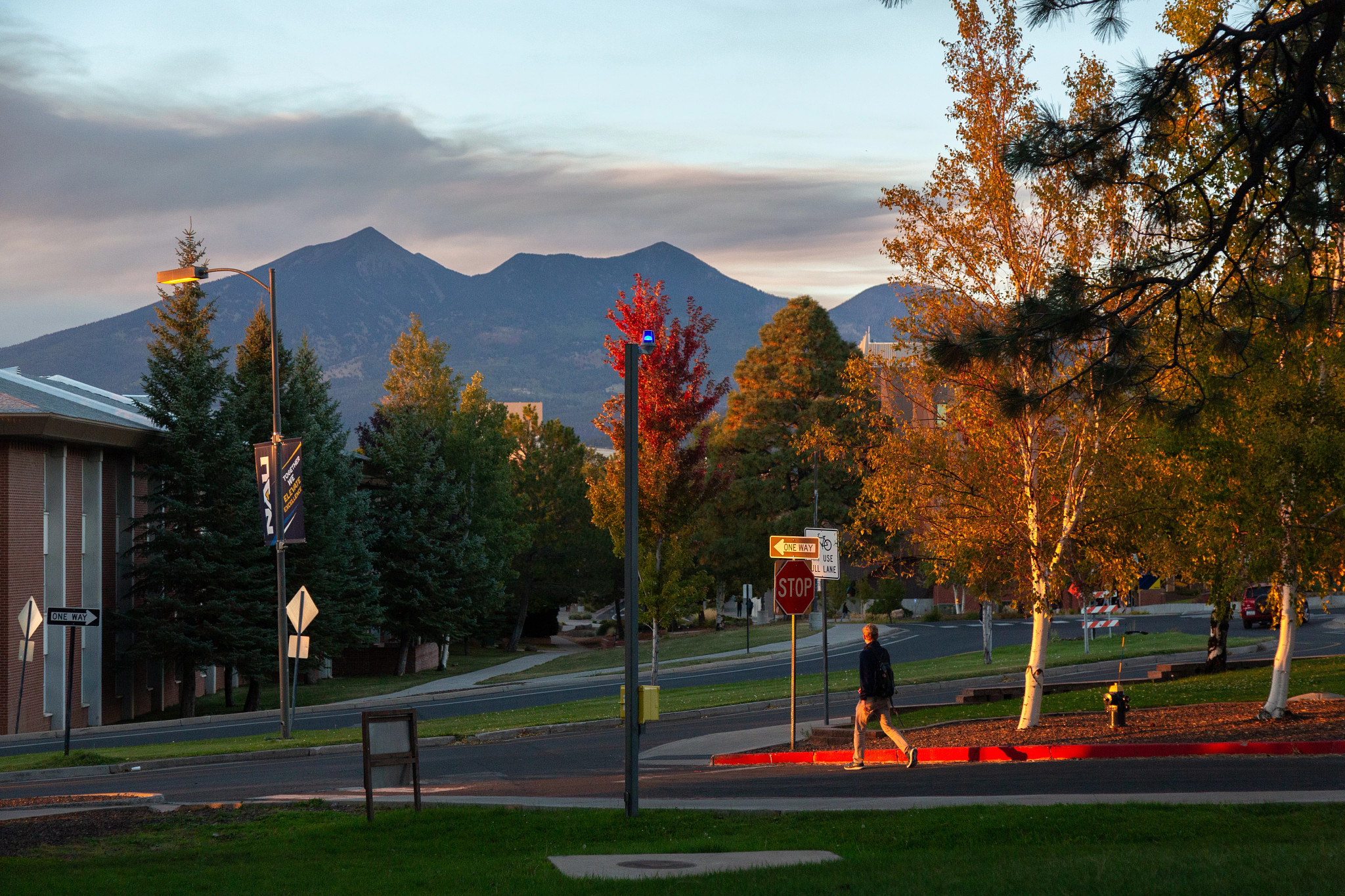 N A U South campus sunset with San Francisco peaks and tree leaves changing colors.