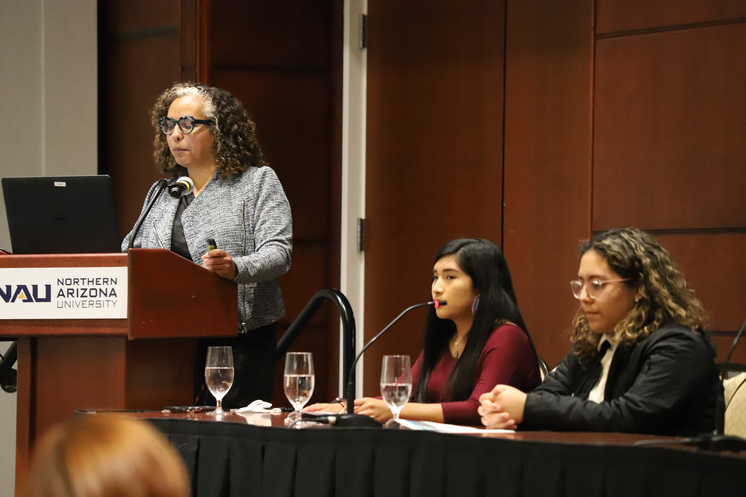 Presenter speaking at a podium during the Adolescent Health workshop.