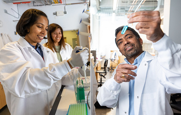 Collage of Archana Varadaraj adding fluid into a test tube and wearing lab coat and white gloves. Narendiran Rajasekaran is looking at a test tube with blue liquid.