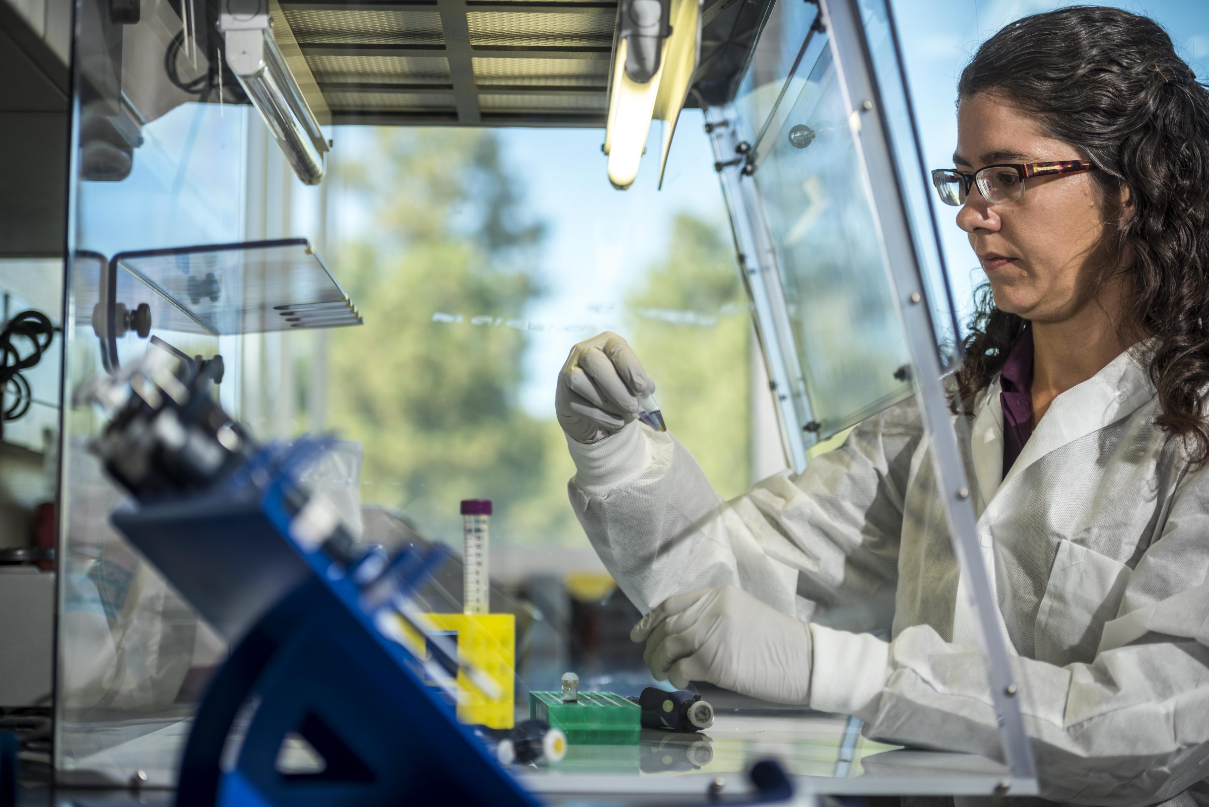 Emily Cope working in the Pathogen and Microbiome lab at N A U.