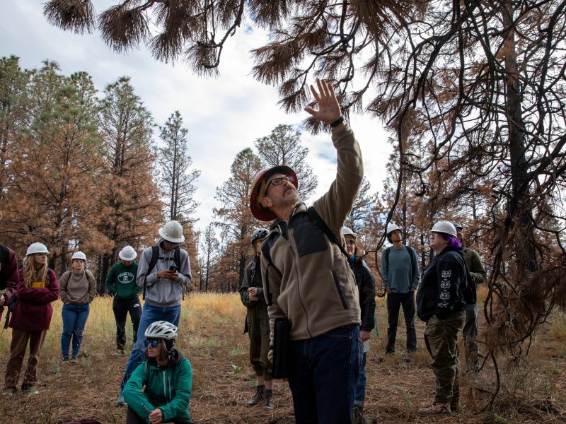 Professor peter fule lecturing to his students while on an outside exhibition.