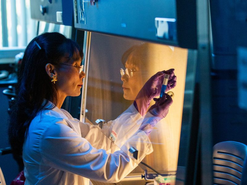 Faculty member working in the laboratory.