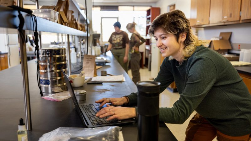 Student working on a computer.