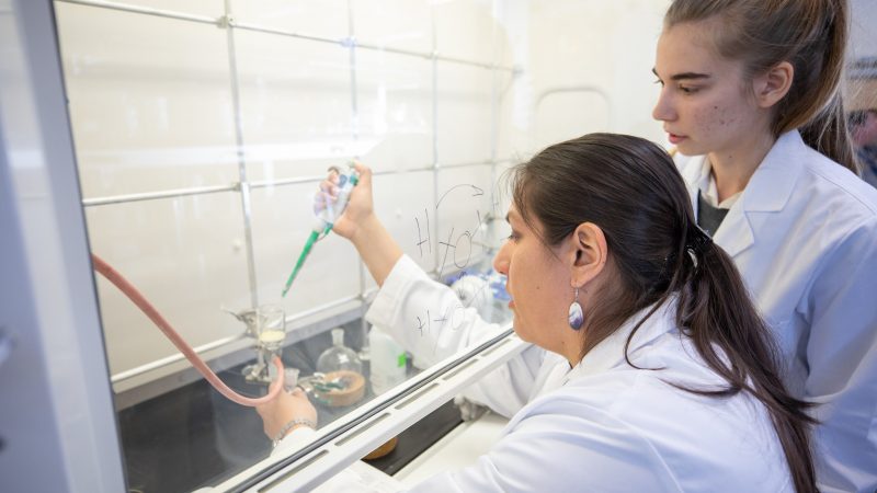 Two students working on testing samples in the laboratory.