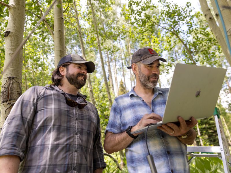 Faculty members looking at a computer while outside.