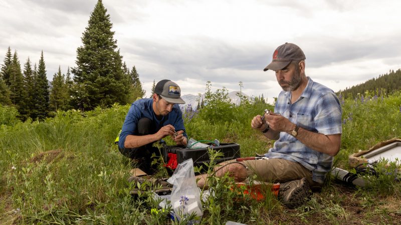 Two people working outside on a project.