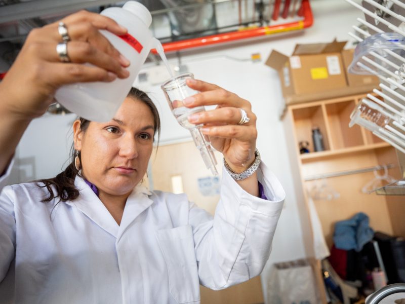 Student working with testing samples in the laboratory.