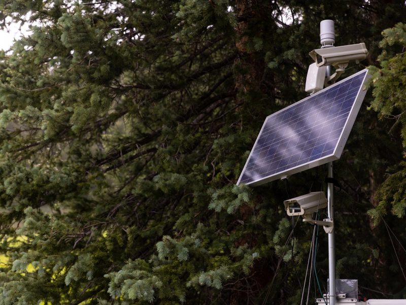 Solar panel in the ponderosa pines.