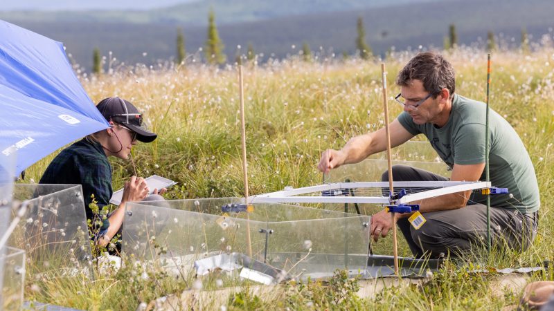 Two people working outside on a project.