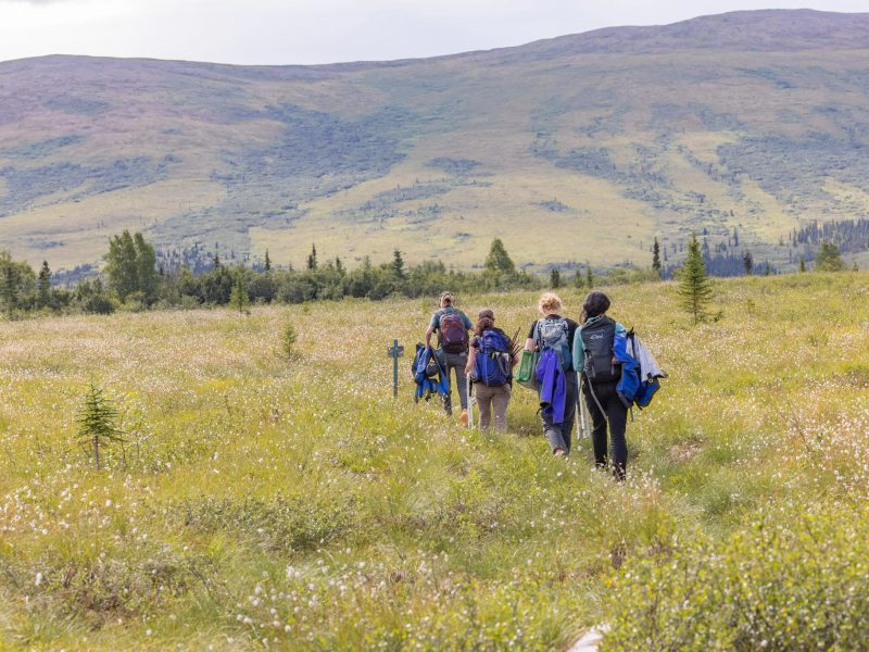 Four people walking in a field of grass.