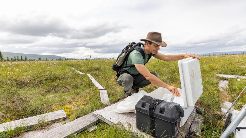 Professor ted schuur working on an outdoor project.