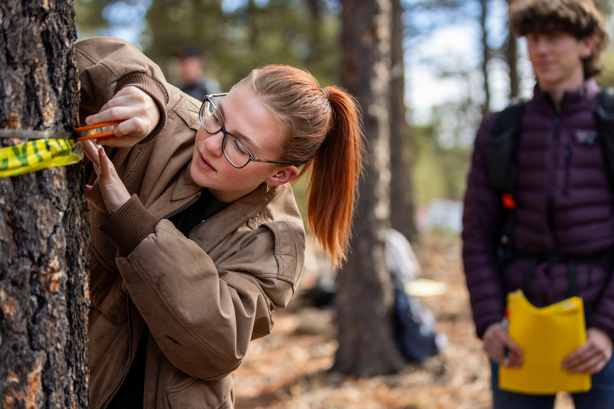 A student looking at a tree.