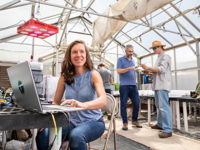 A women working on her computer and sitting at a desk in a greenhouse.