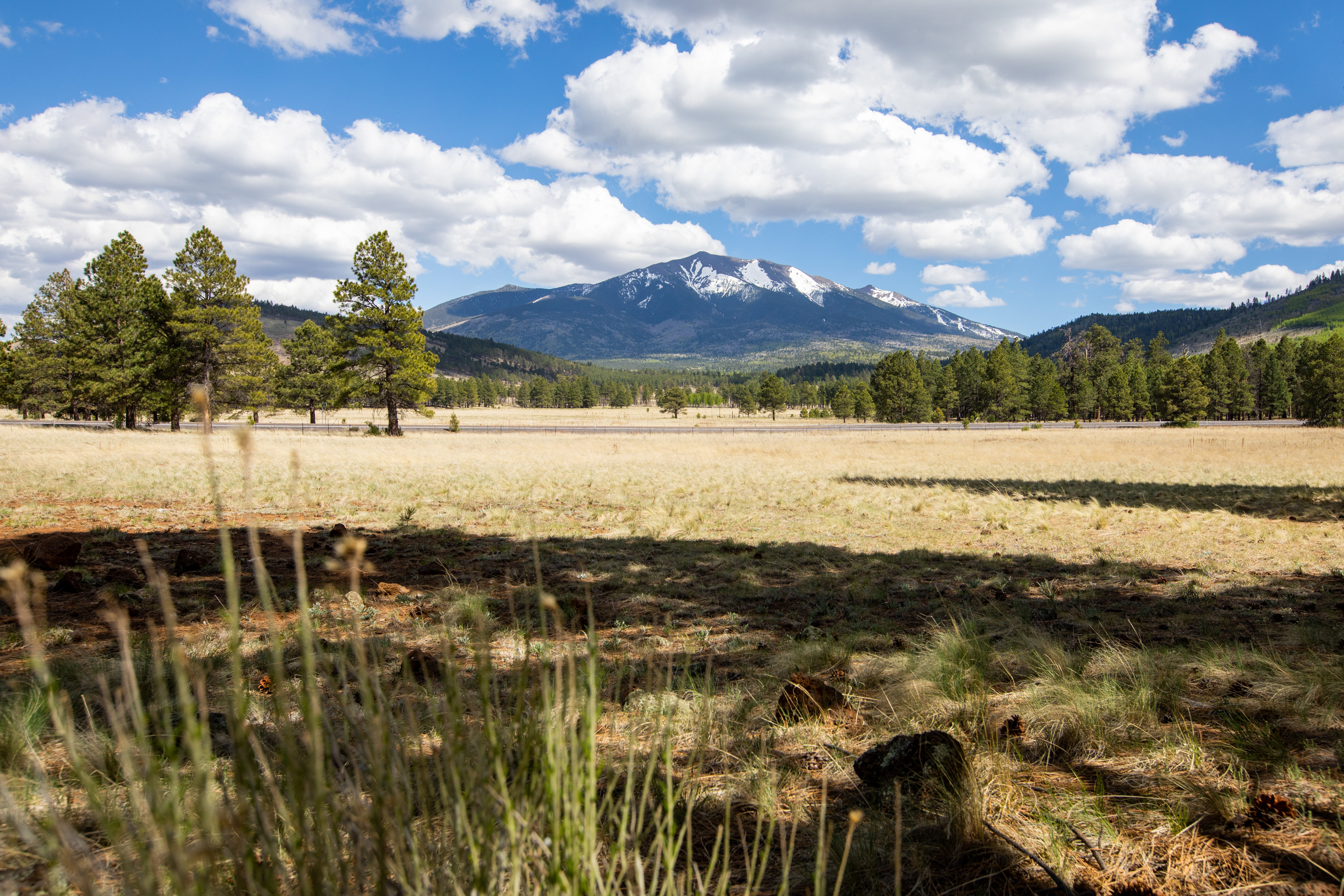 View of flagstaff landscape