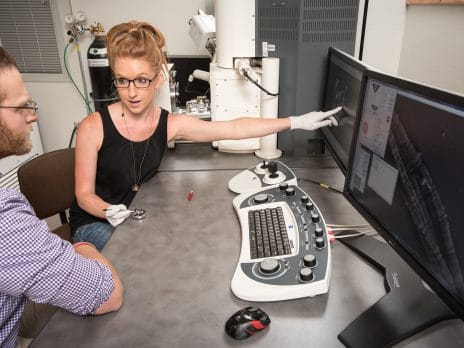 researchers using the Scanning Electron Microscope