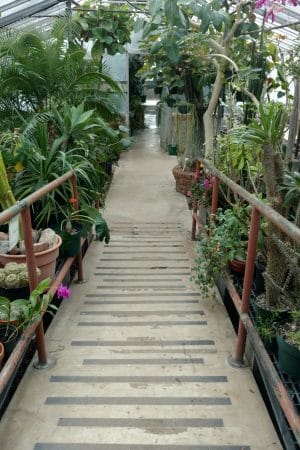 entrance to teaching greenhouse at nau