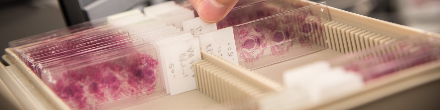 Bio lab slides in rack
