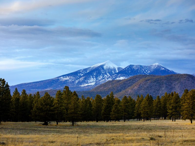 Snow on the tops of the mountains.