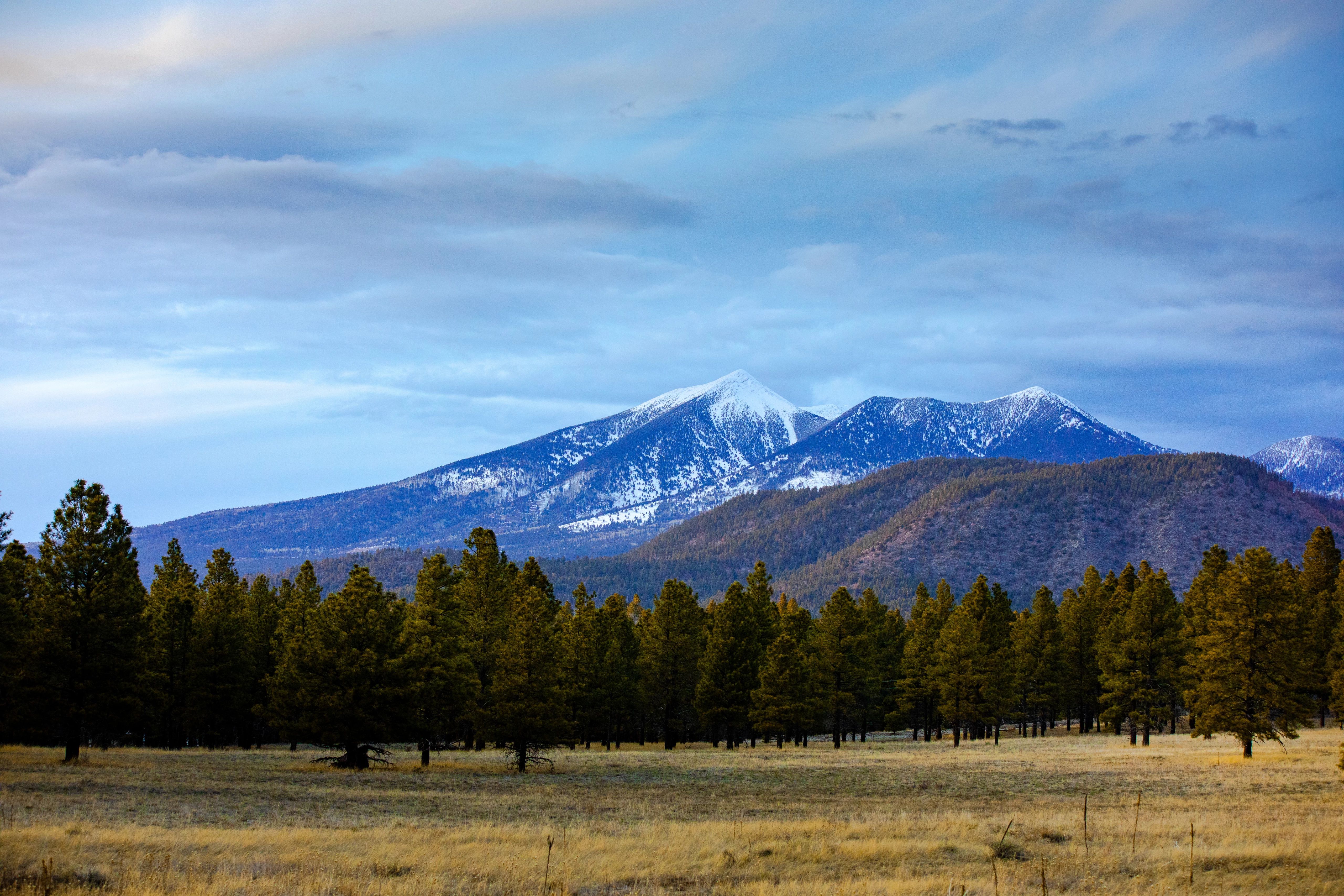 Snow on the tops of the mountains.