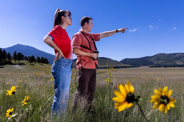 Man and woman standing in field
