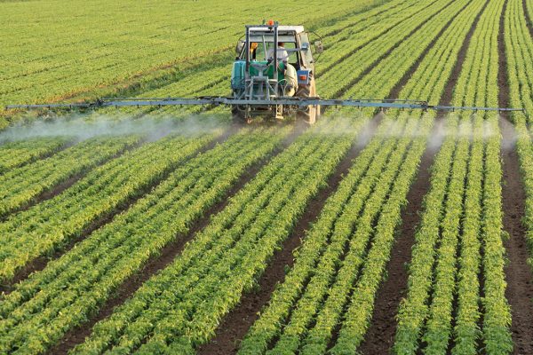 Machine in field spraying pesticides on crops