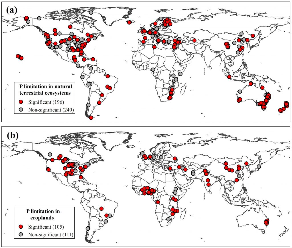 new-study-suggests-phosphorus-matters-everywhere-research