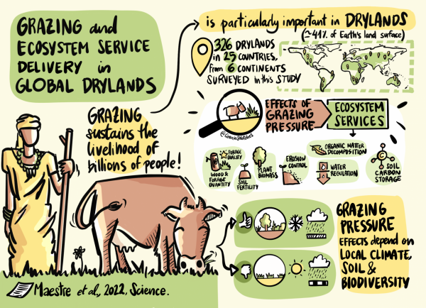 Illustration of Ecosystem Service Delivery