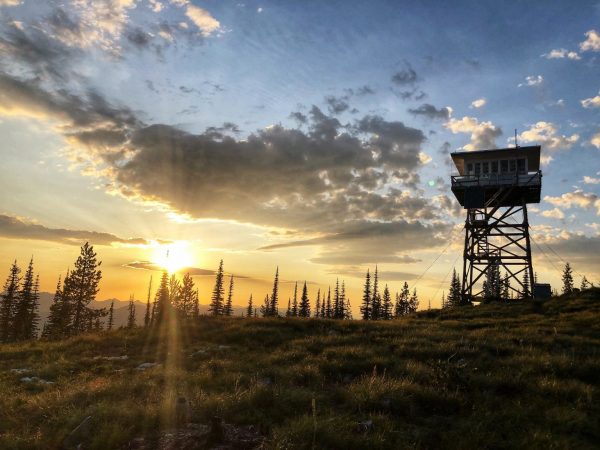 Lookout tower in forest at sunset