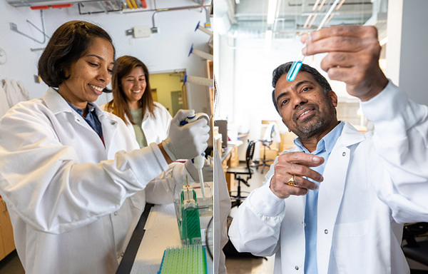 Two photos in one. One left is Archana Varadaraj who is adding fluid into a test tube. She has short dark hair and is wearing a white lab coat and white gloves. In the right photo is Narendiran Rajasekaran. He is looking up at a clear test tube with blue liquid. His is facing the camera and is smiling. He is wearing a white lab coat and has short dark… <a href=