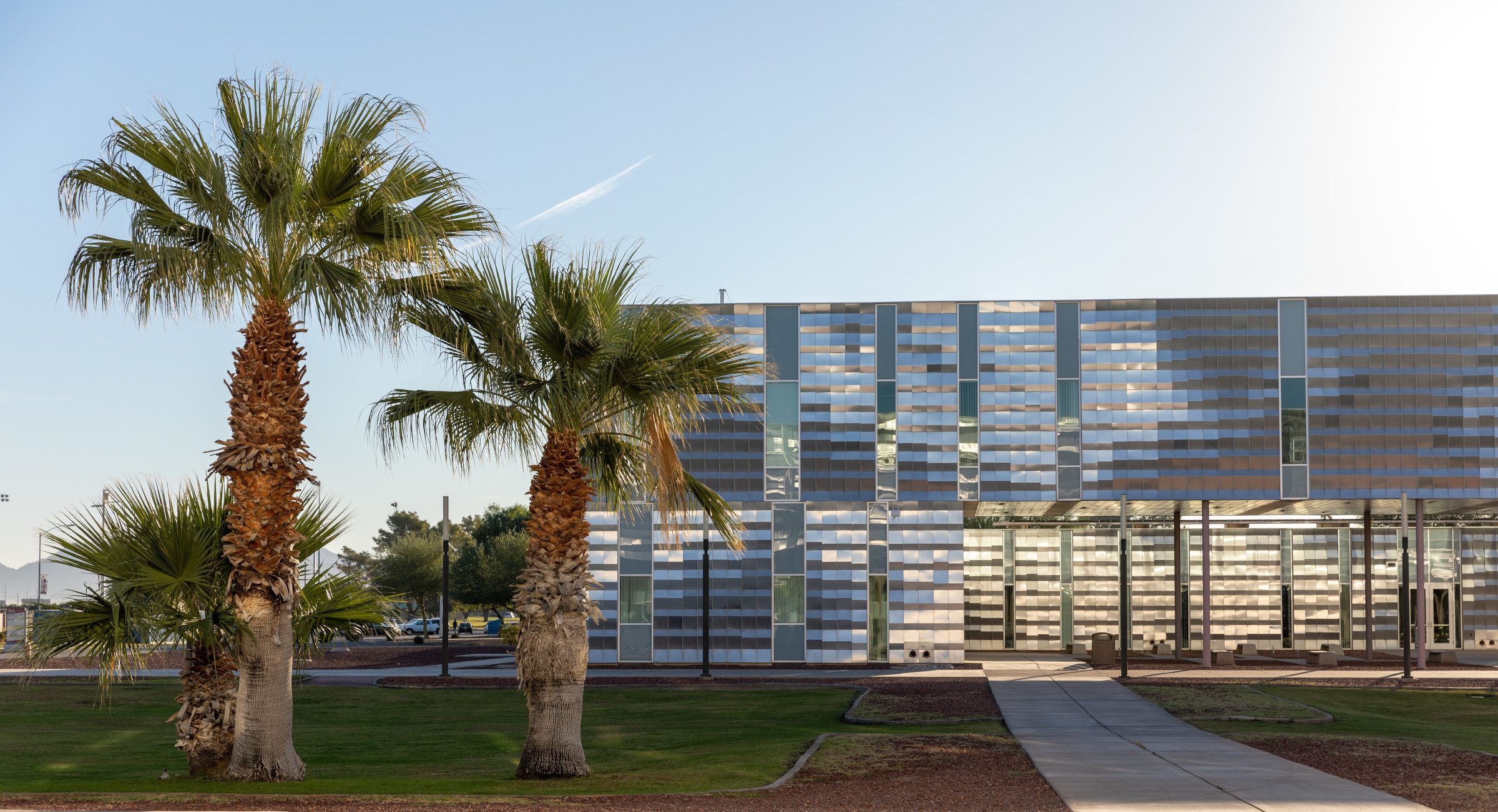 NAU–Yuma building with a line of small palm trees along the path to the front.
