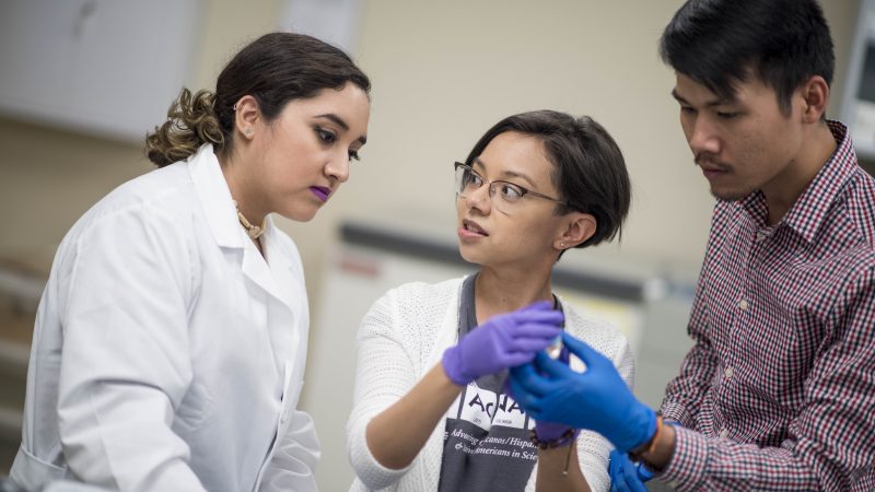 Bio students in a NAU–Yuma genetics lab